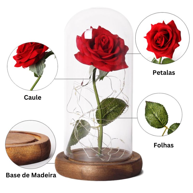 Rosa Eterna - Presente Dia dos Namorados